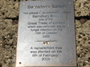 Barnsbury Beech (id=2714)